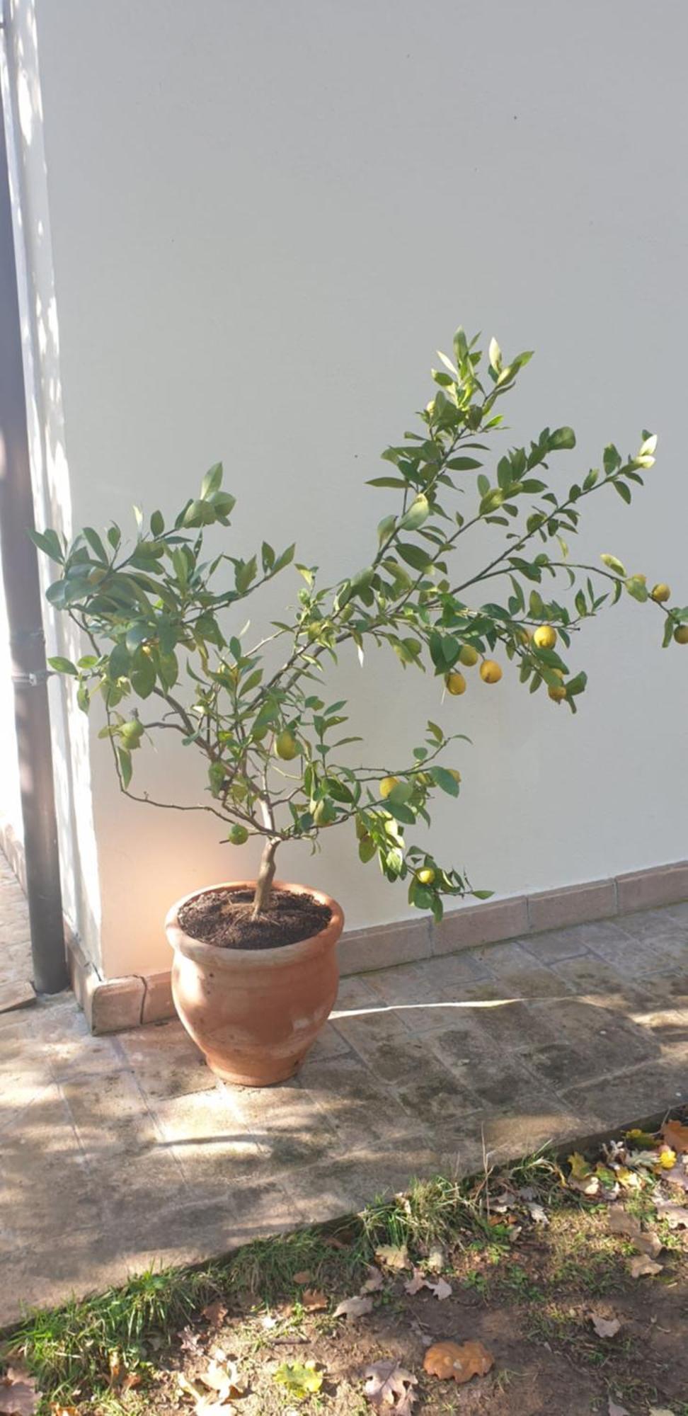 Montebagnolo Alto Locandieri מראה חיצוני תמונה